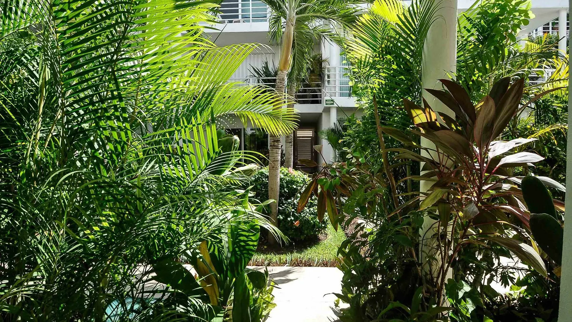 Hotel Pelicanos 203 By Vimex Playa del Carmen